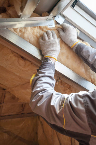 Best Soundproof Insulation Installation  in Eastwood, MI