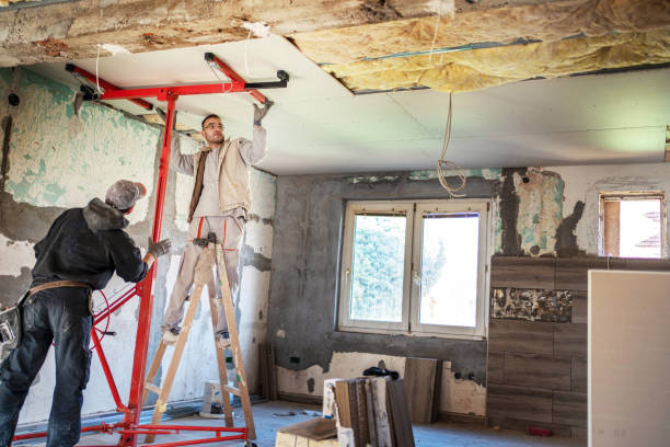 Insulation Replacement Services in Eastwood, MI