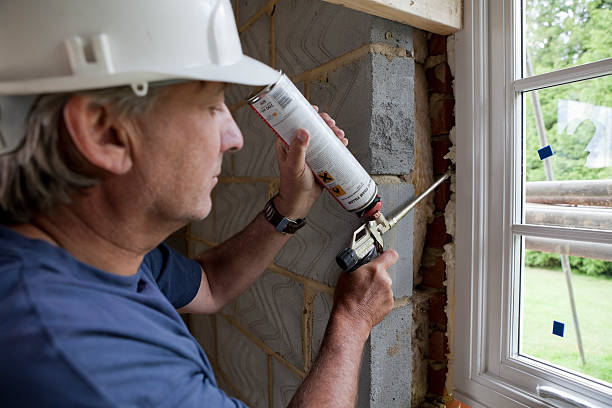 Best Cellulose Insulation  in Eastwood, MI