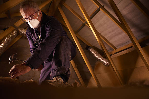 Best Insulation Replacement Services  in Eastwood, MI