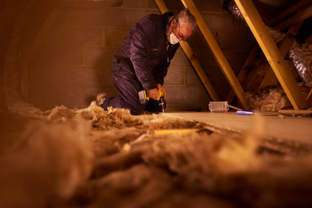 Insulation for New Construction in Eastwood, MI